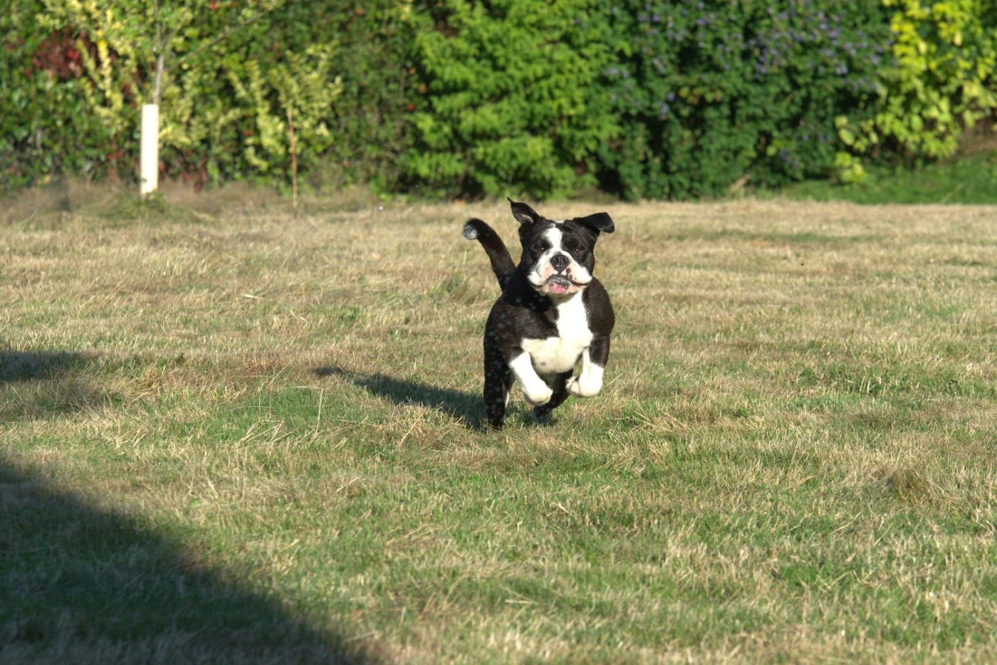 Ulko Du Domaine Du Grelot Perdu