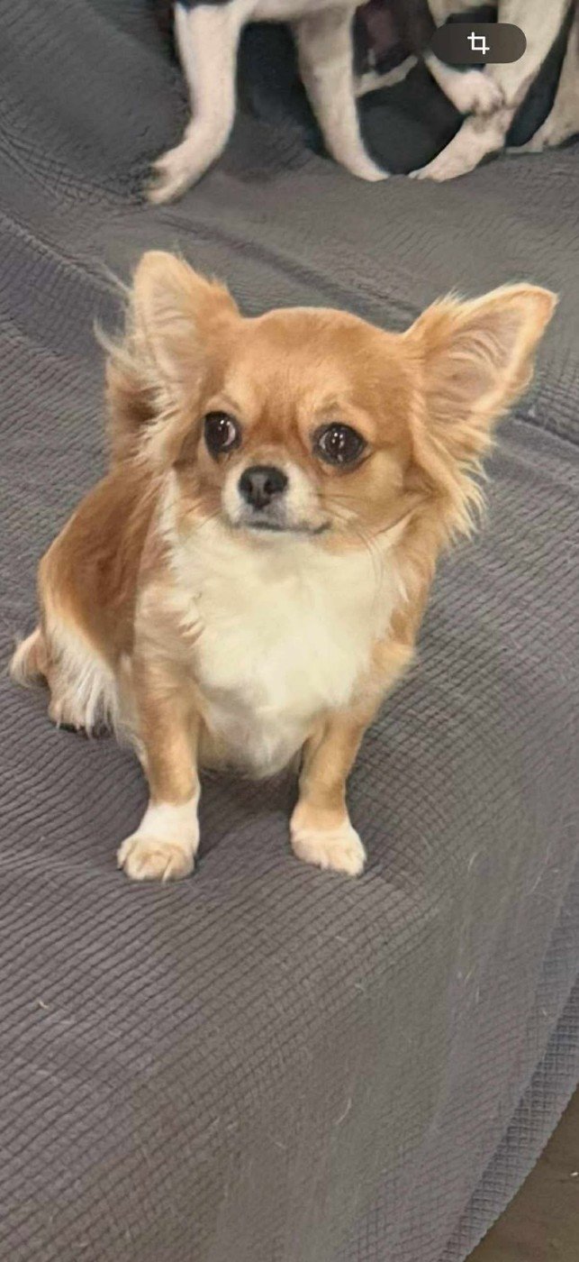 Publication : Du Royaume De Perla 