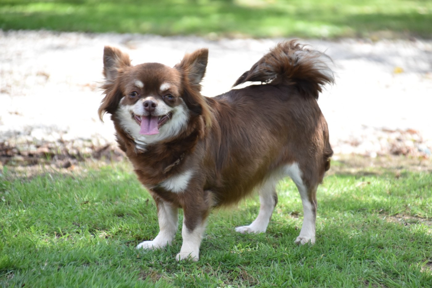 Publication : Du Repère Des Poilus