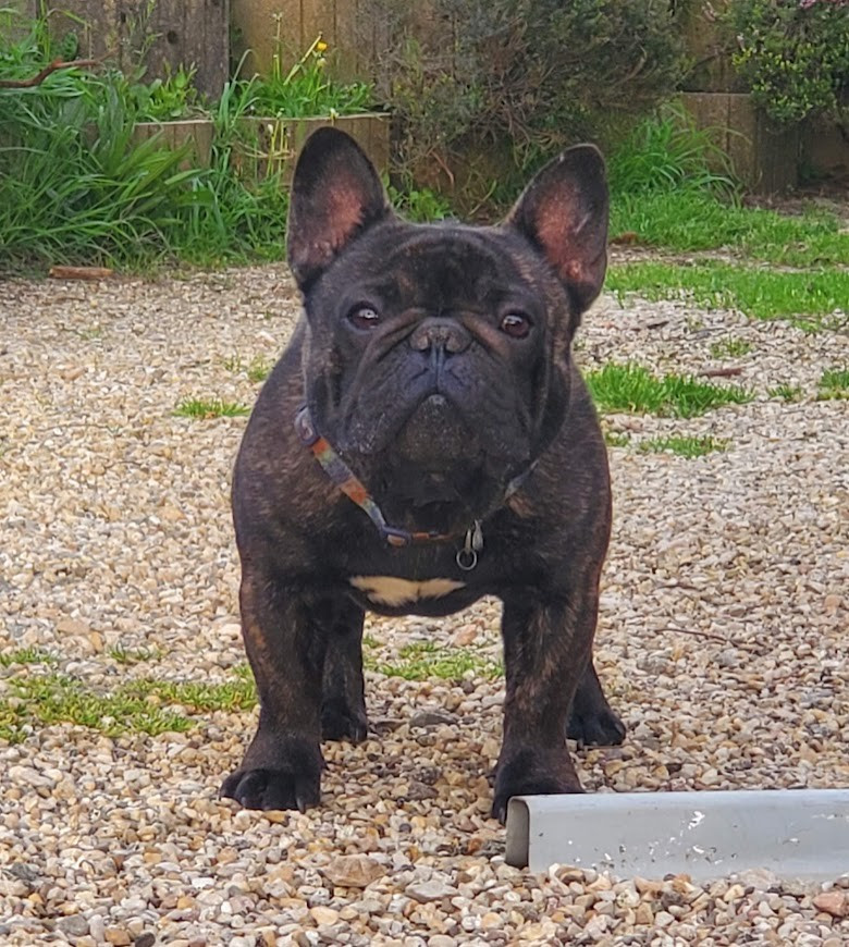 Publication : des chemins du bout du monde Auteur : CATHY BEKESI