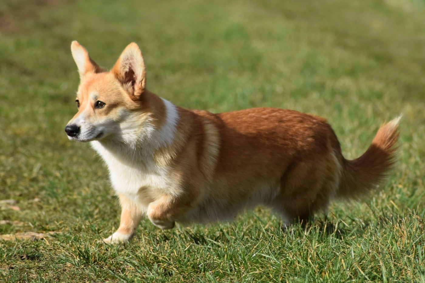 Publication : De La Folle Emprise