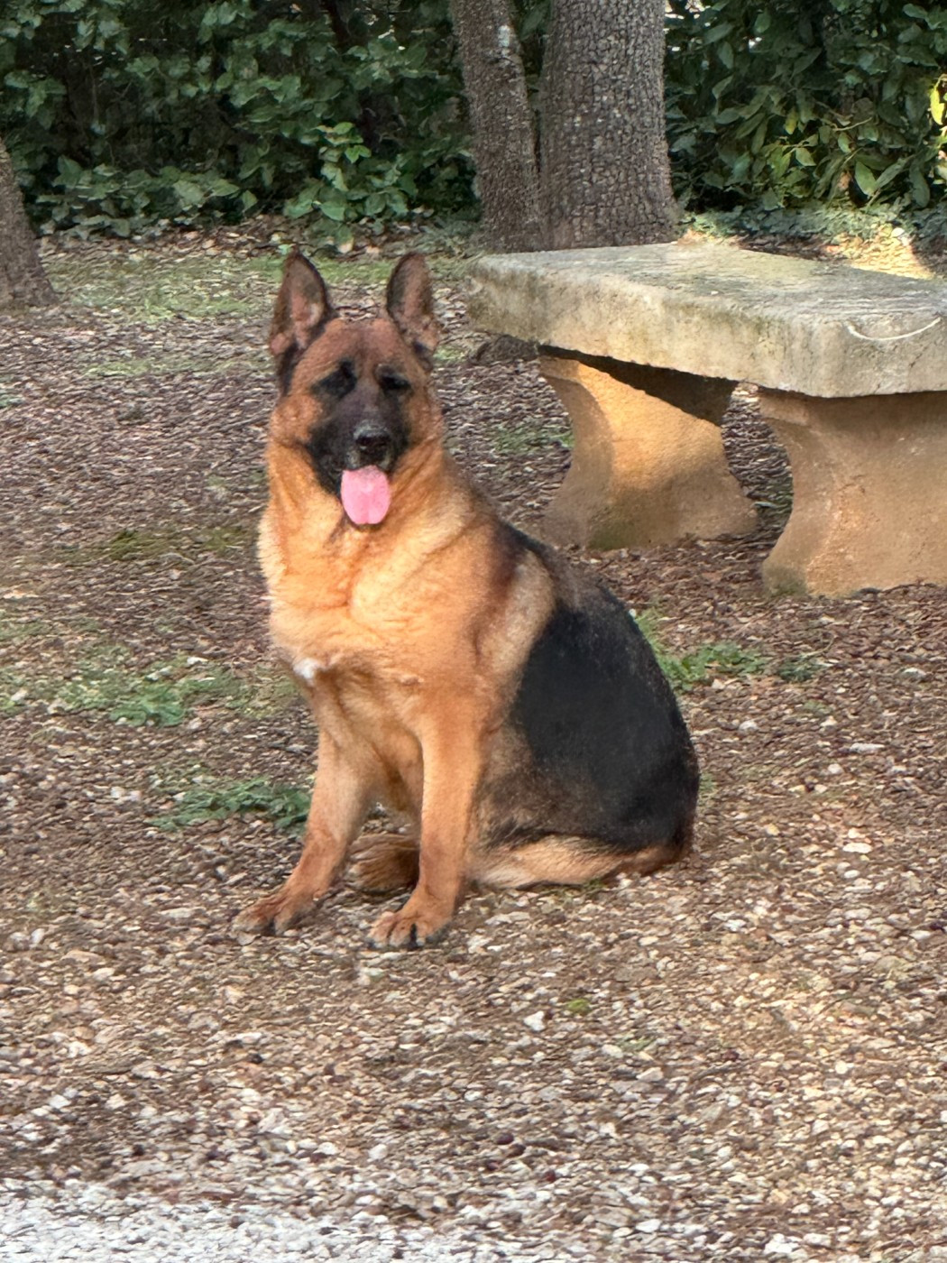 Publication : des Sentiers des Alpilles