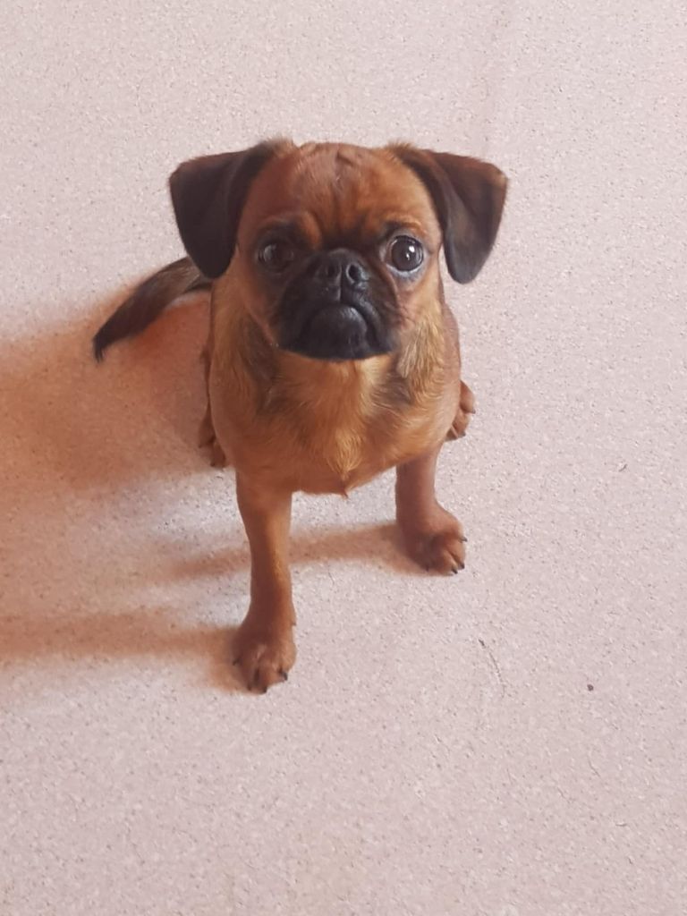 Publication : Du Cottage Du Vieux Tilleul Auteur : Catherine Hudry 