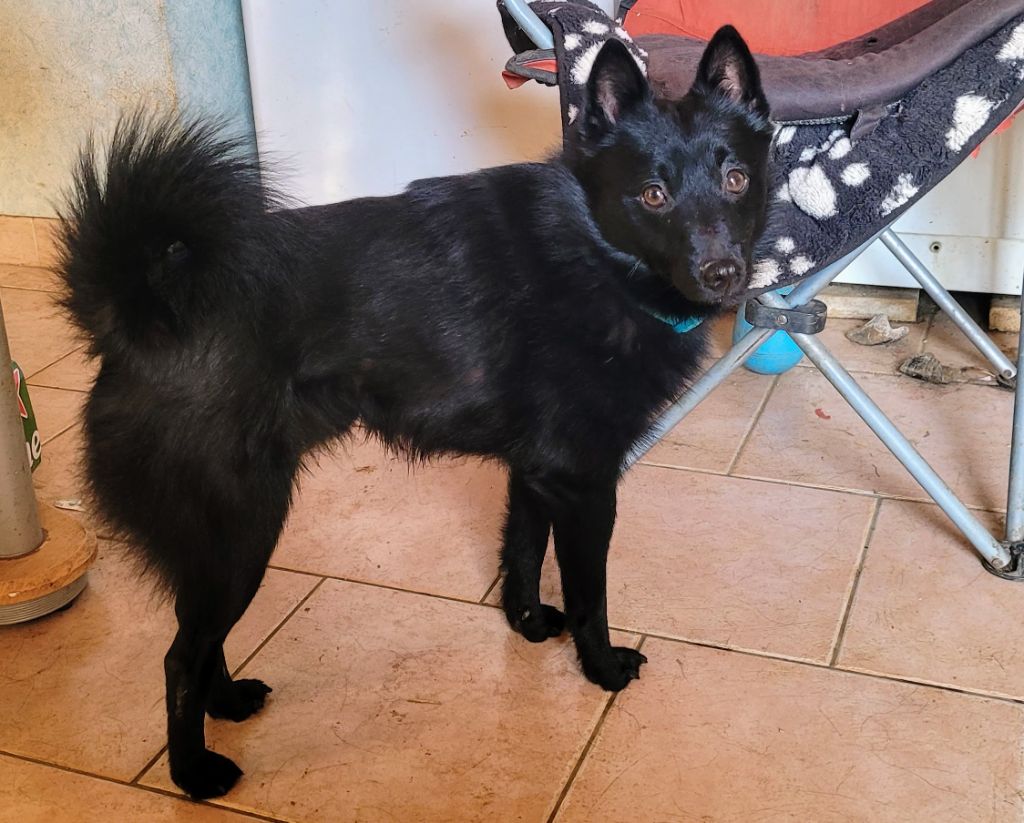 Publication : des Grandes Voies Auteur : clotarn