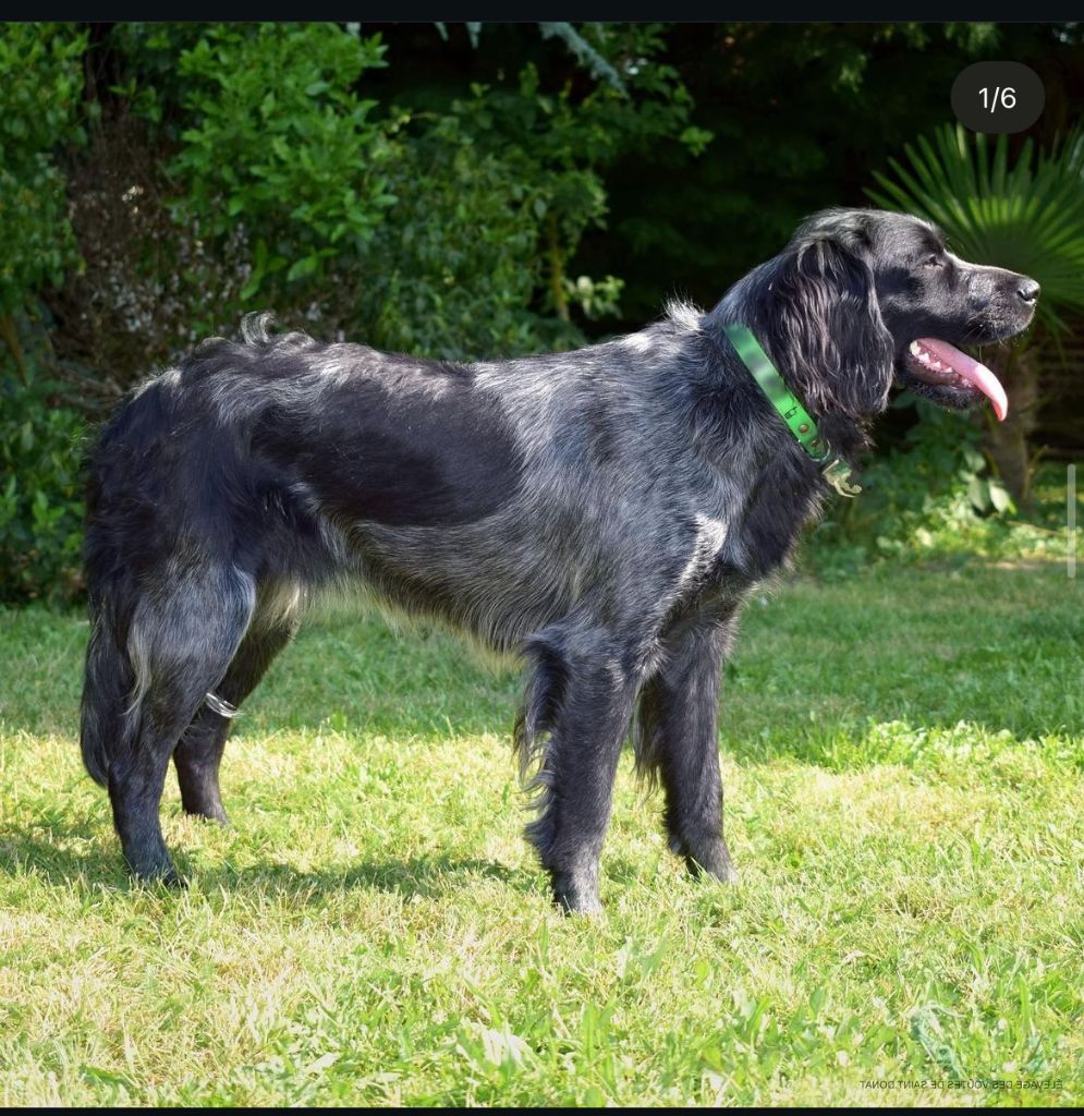 Publication : des Voutes de Saint Donat 