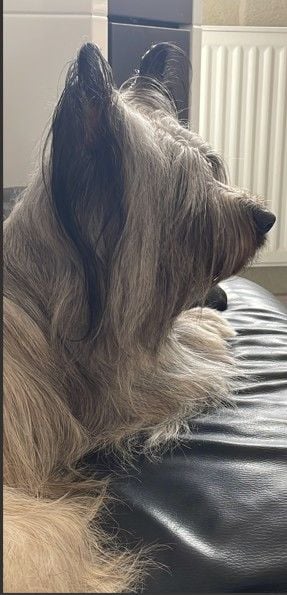 Publication : des vallées Engissoises Auteur : NATHALIE Drochon