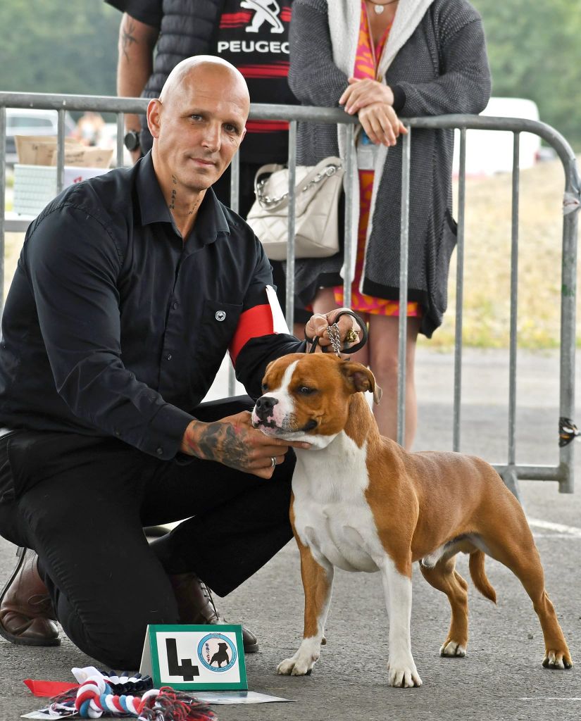 Publication : Staffanatic's Auteur : Staffanatic's