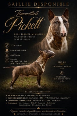 timewilltell Pickett
