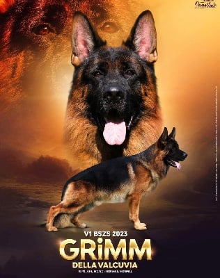 Grimm della valcuvia