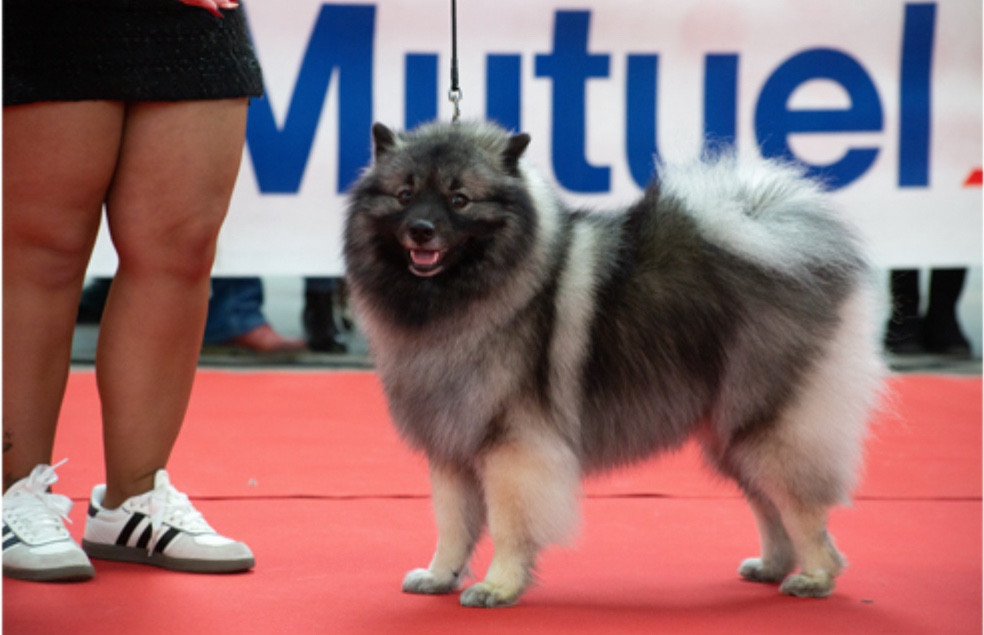 Publication : Du Royaume De Ragenold 