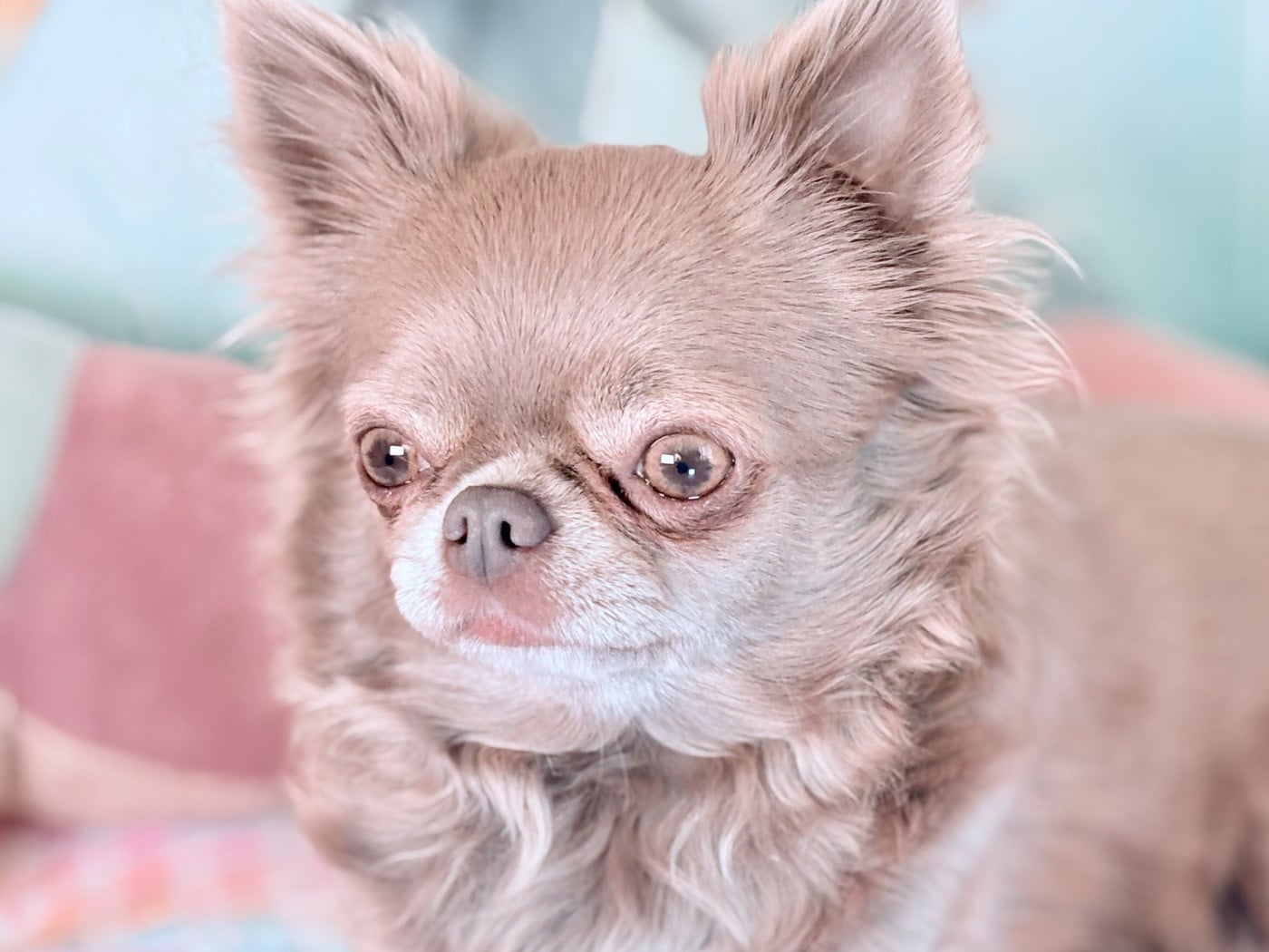 Twirly curls barbie Des Minis Bombes