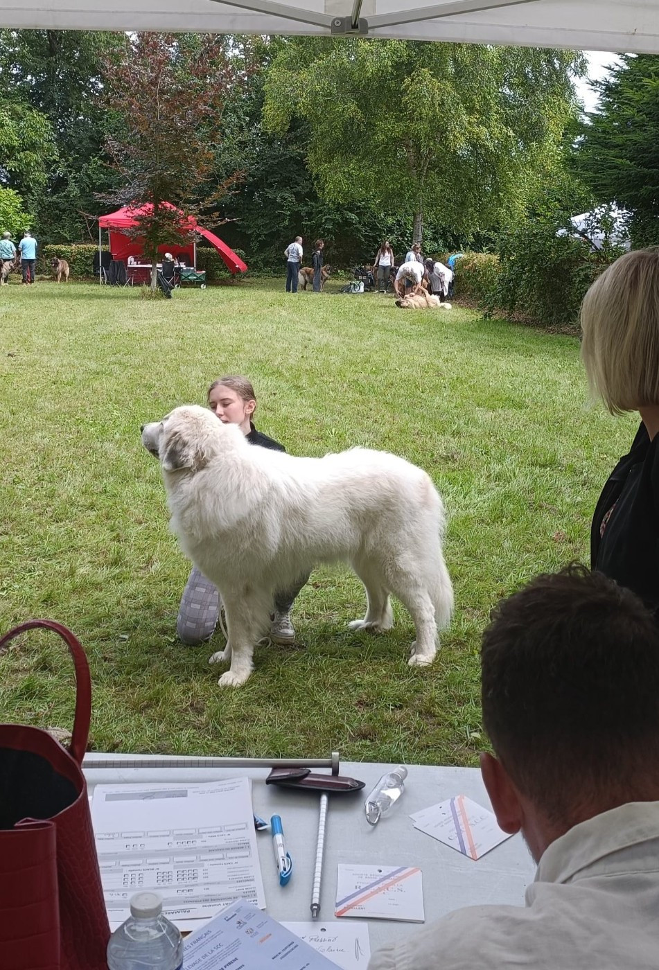 Publication : du Val de Pyrène 