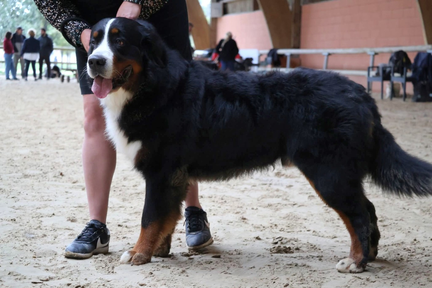 Publication : De La Terre Des Fées 