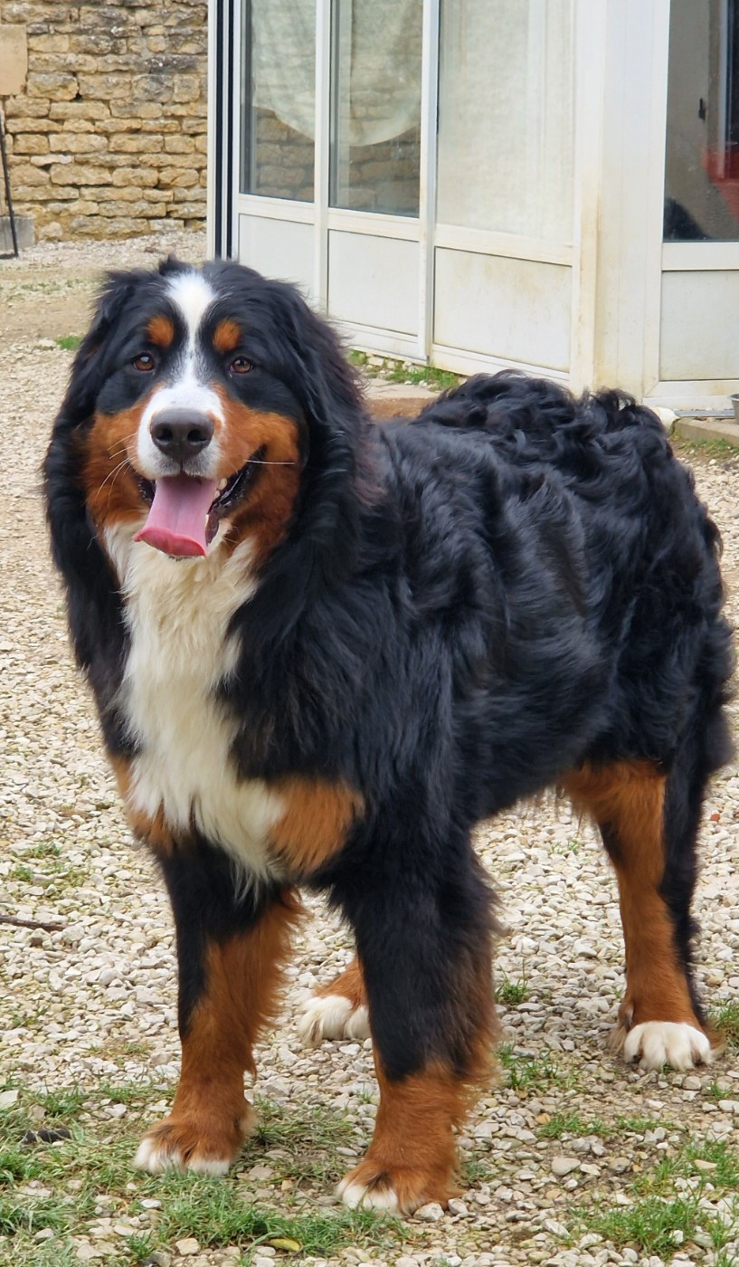 Publication : La vallée de l'echiquier