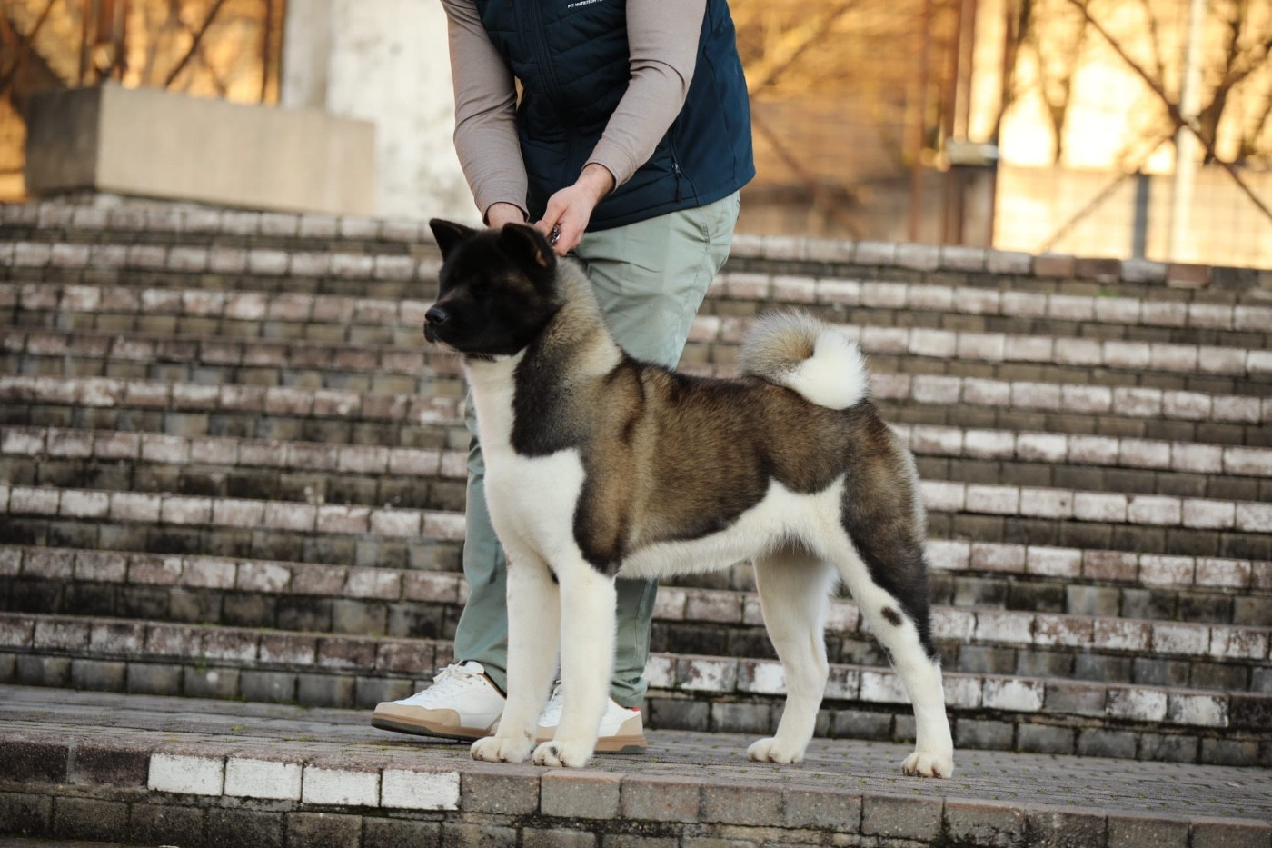 Publication : Rampage Spirit 