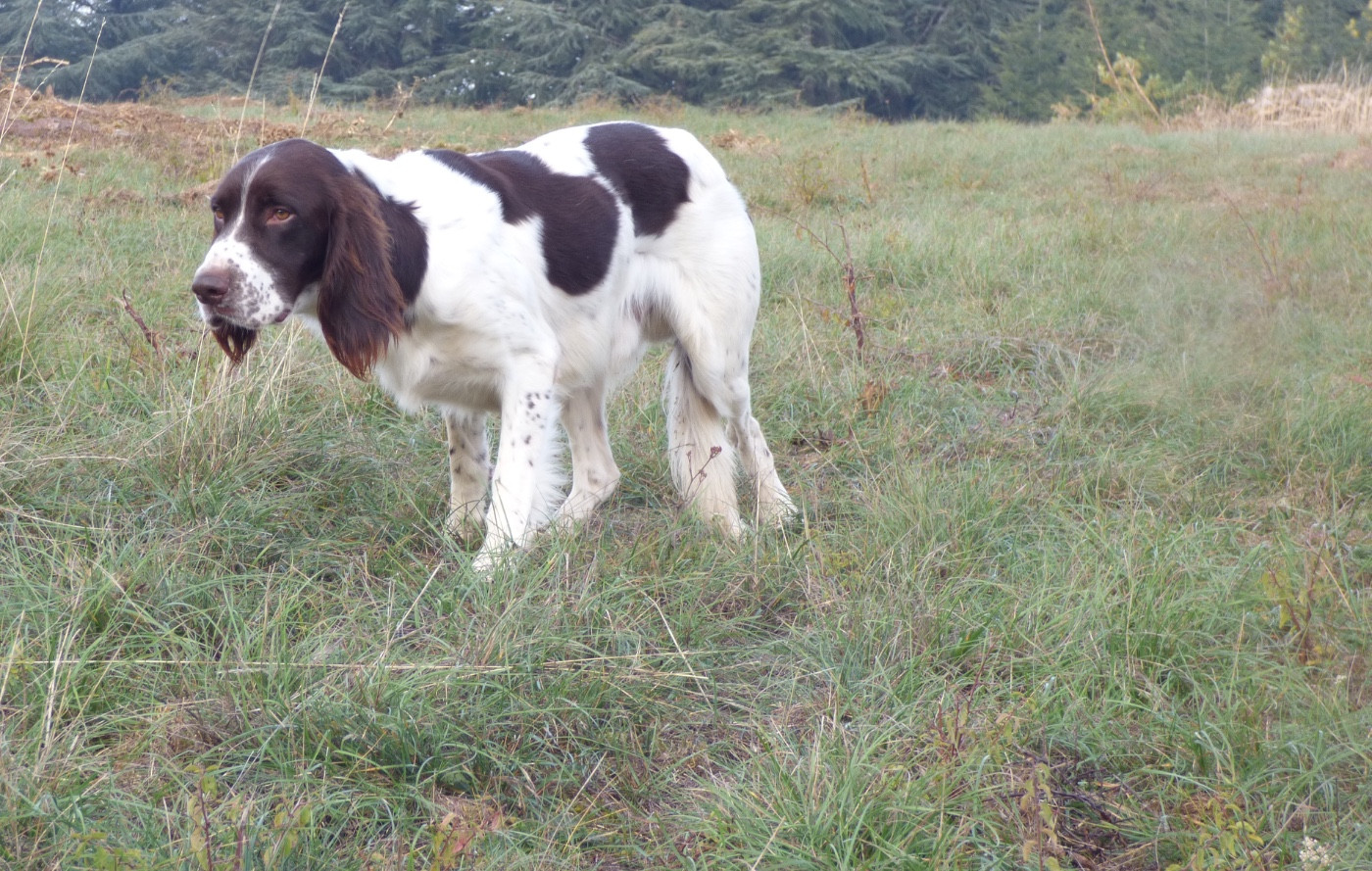 Publication : De La Vallée De La Sorgues Auteur : Sebastien vayssiere