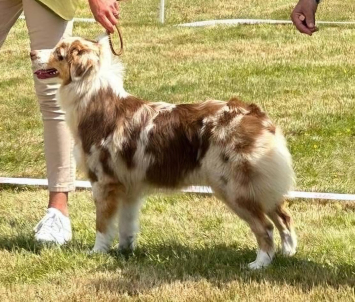 Viking freyja déesse vanir des Caps et Marais d'Opale