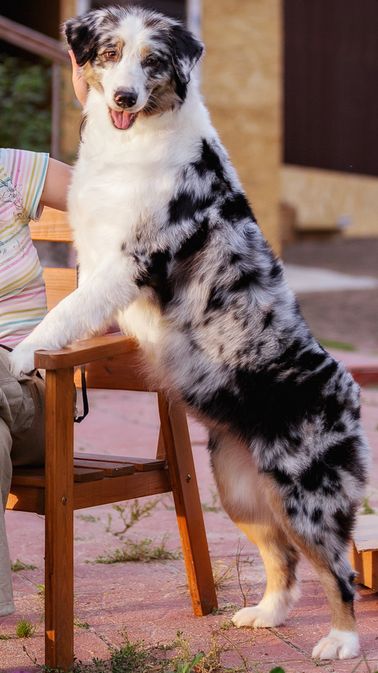 seventy seven Montpensier