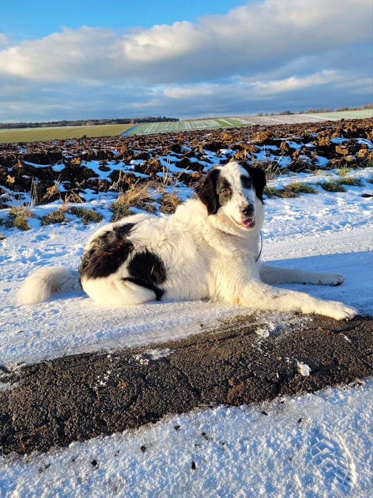 Publication : Des Trésors Des Dinarides Auteur : Anne Delecroix