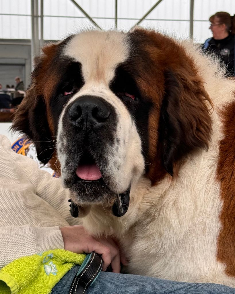 Publication : Baby Love De Lapeysie