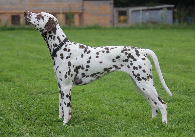 Deborah von der ibergquelle