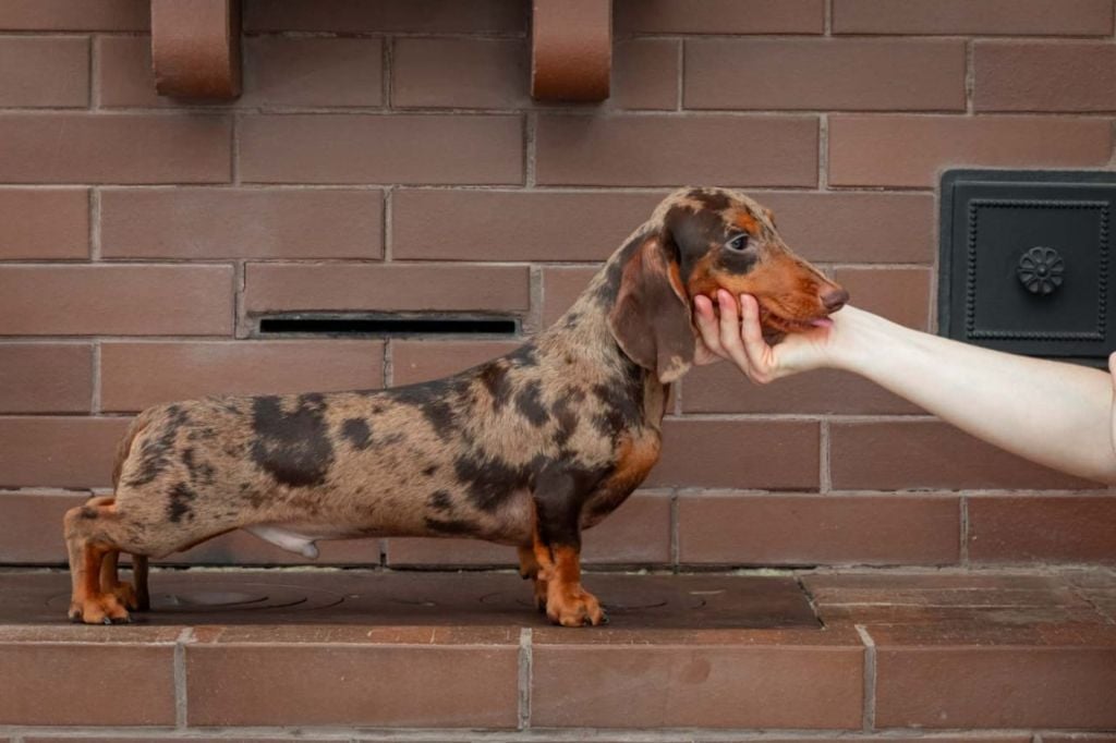 Publication : des Trésors de Matagi 