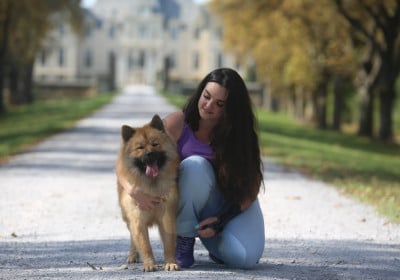 Étalon Eurasier - Kerchak (vigoureux) Du Royaume D'ebène