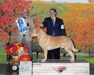 image de Jumpin jack flash