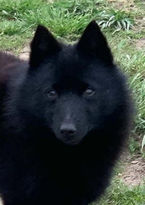 Ultra du Mas de Valaurine