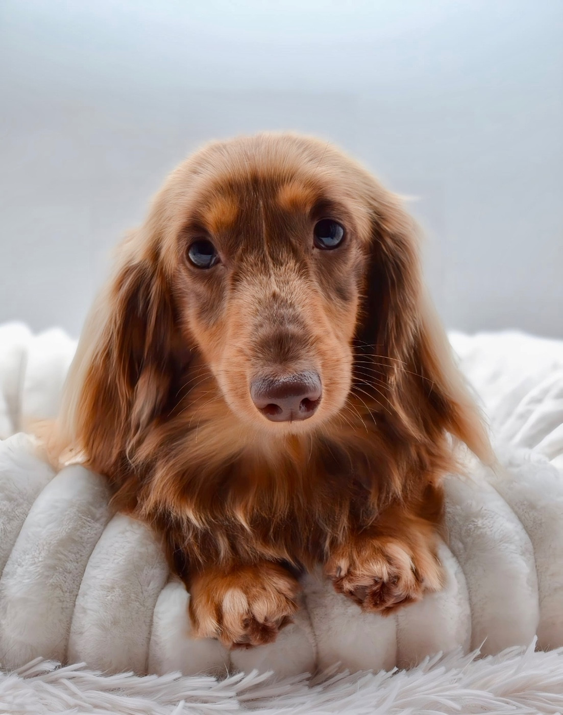 Publication : Diamondskane Auteur : Diamondskane