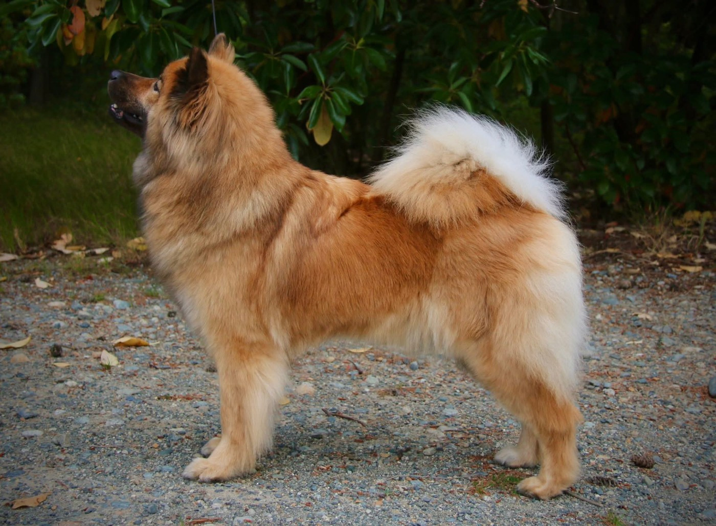 Publication : Des Diamants De L'océan 