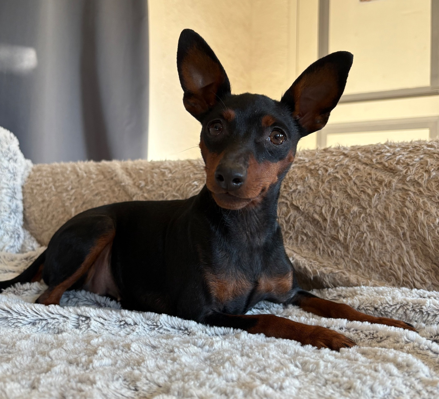 Publication : De La Plaine Bretonne 