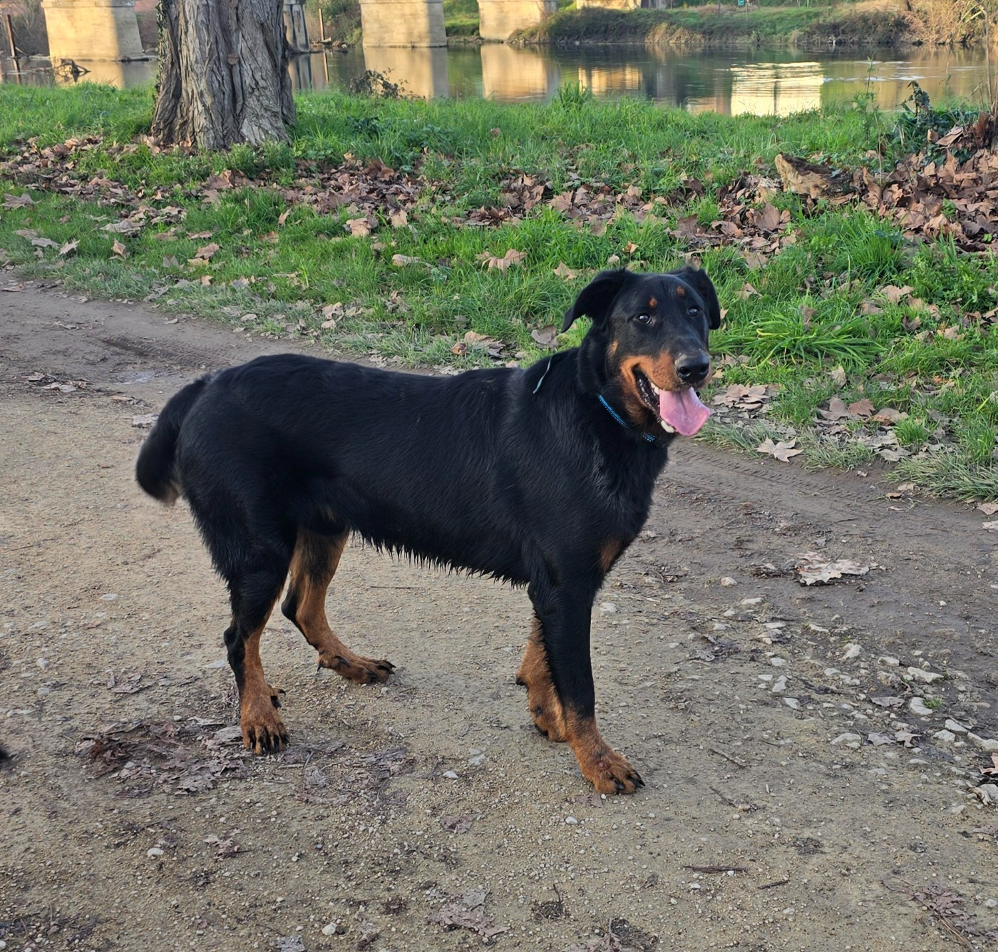 Publication : Du Clos Des Loutres 