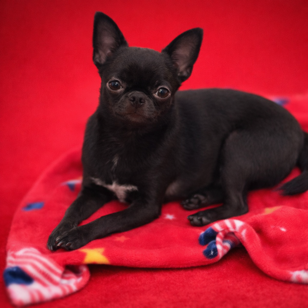 simvol zhelaniya Good luck