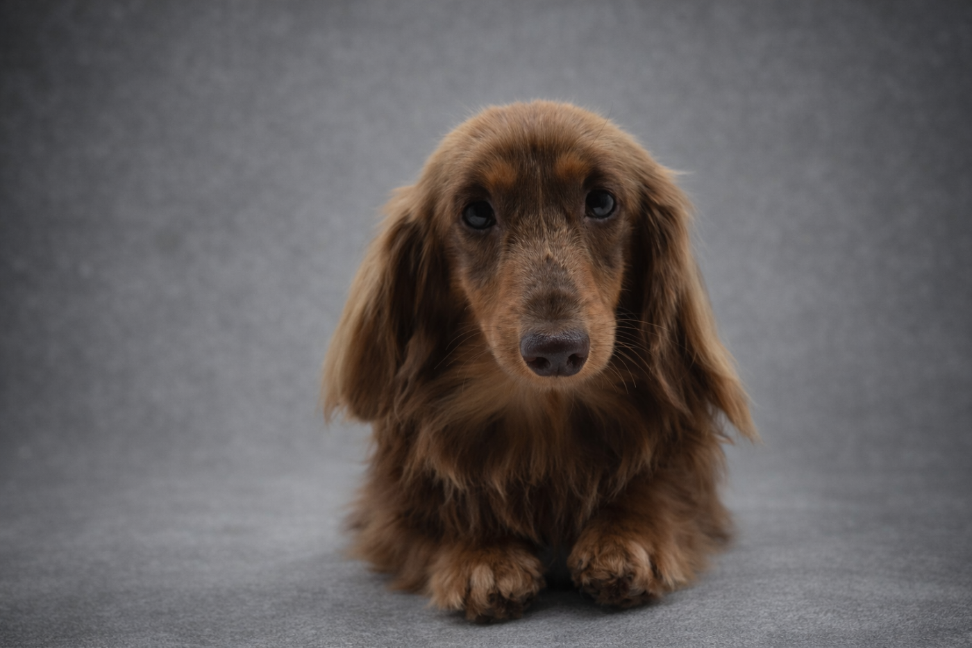 Publication : Diamondskane Auteur : Diamondskane