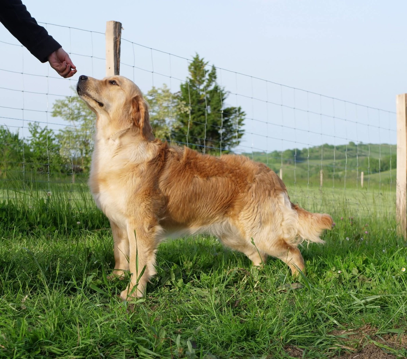 Publication : de la rivière d'opale 