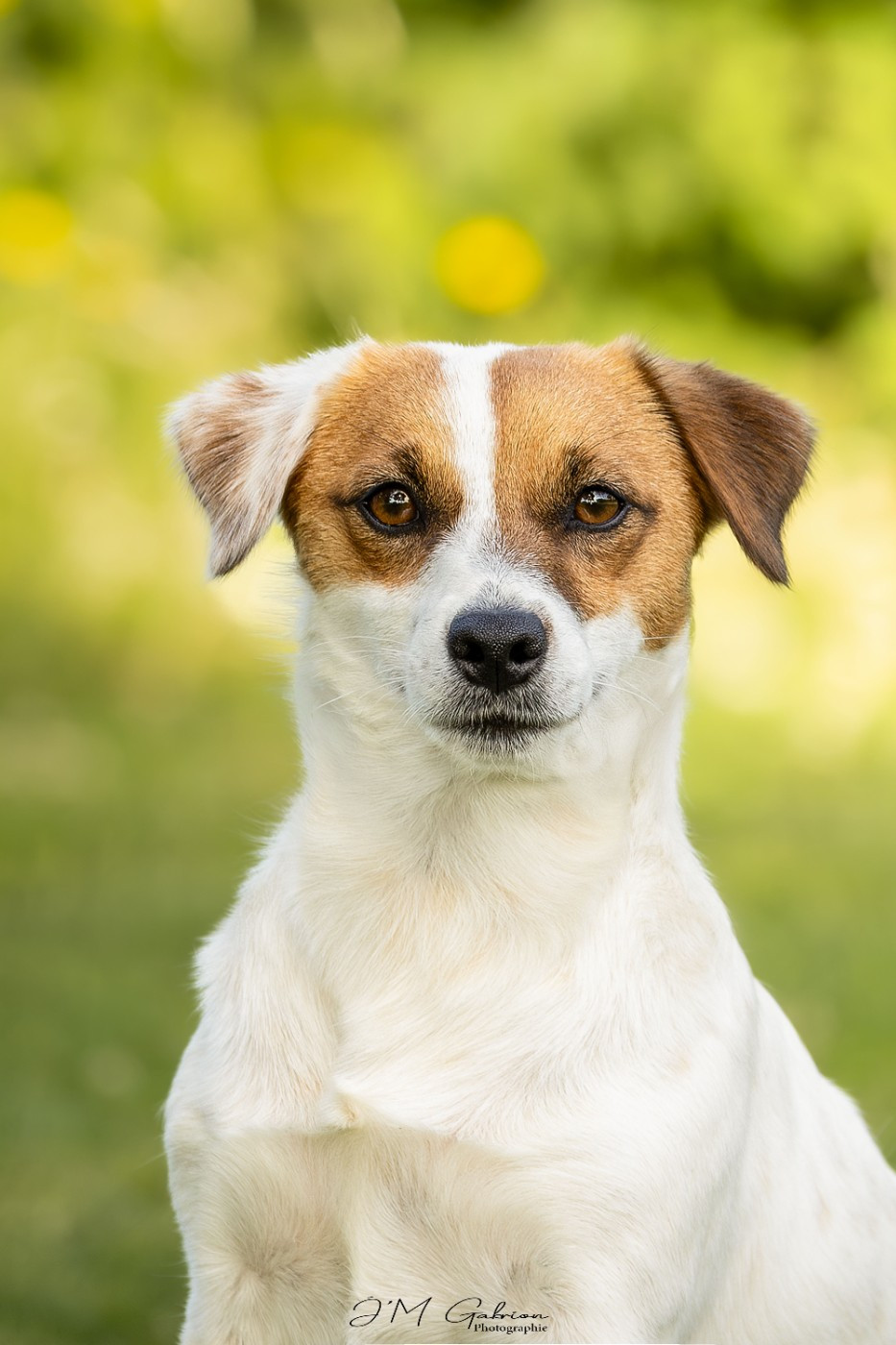 Victoria's secret De L'arche De Chambord