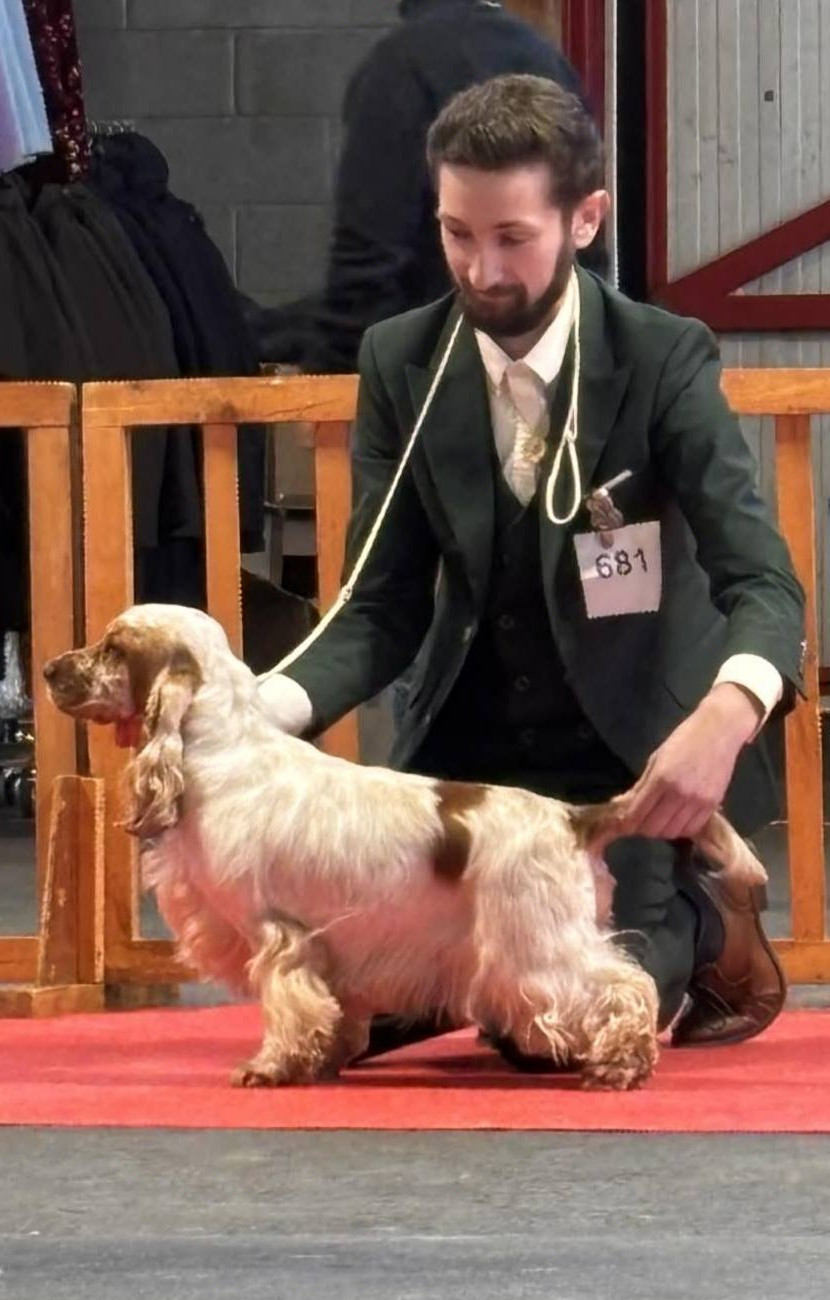 Publication : Du Royaume De Lecki Auteur : Élevage du Royaume de Lecki