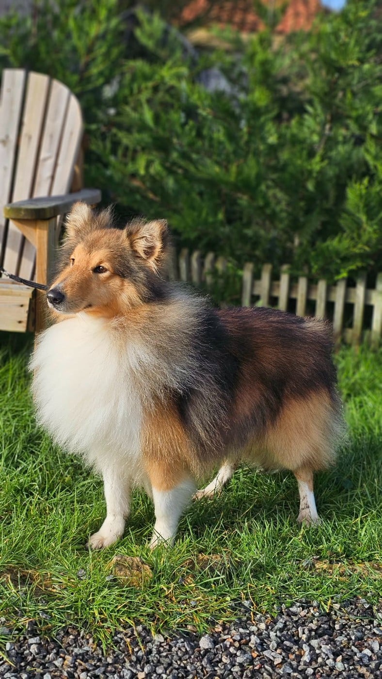 Publication : du Domaine des Airaudes