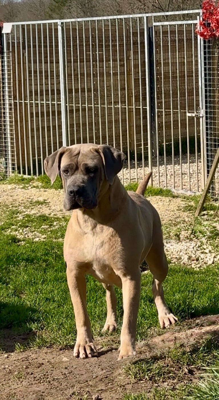 Publication : des gardiens d'Ecosse 