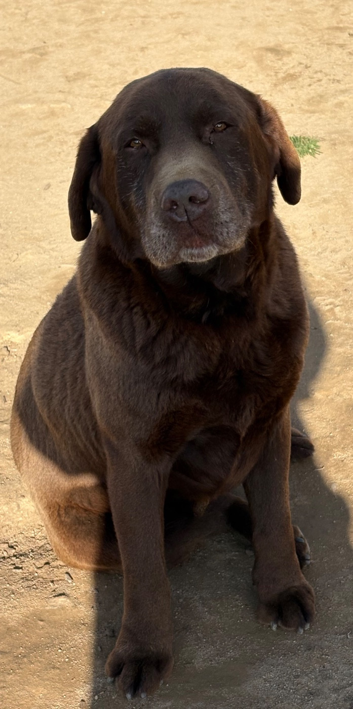 Publication : Du Domaine De Terrut 