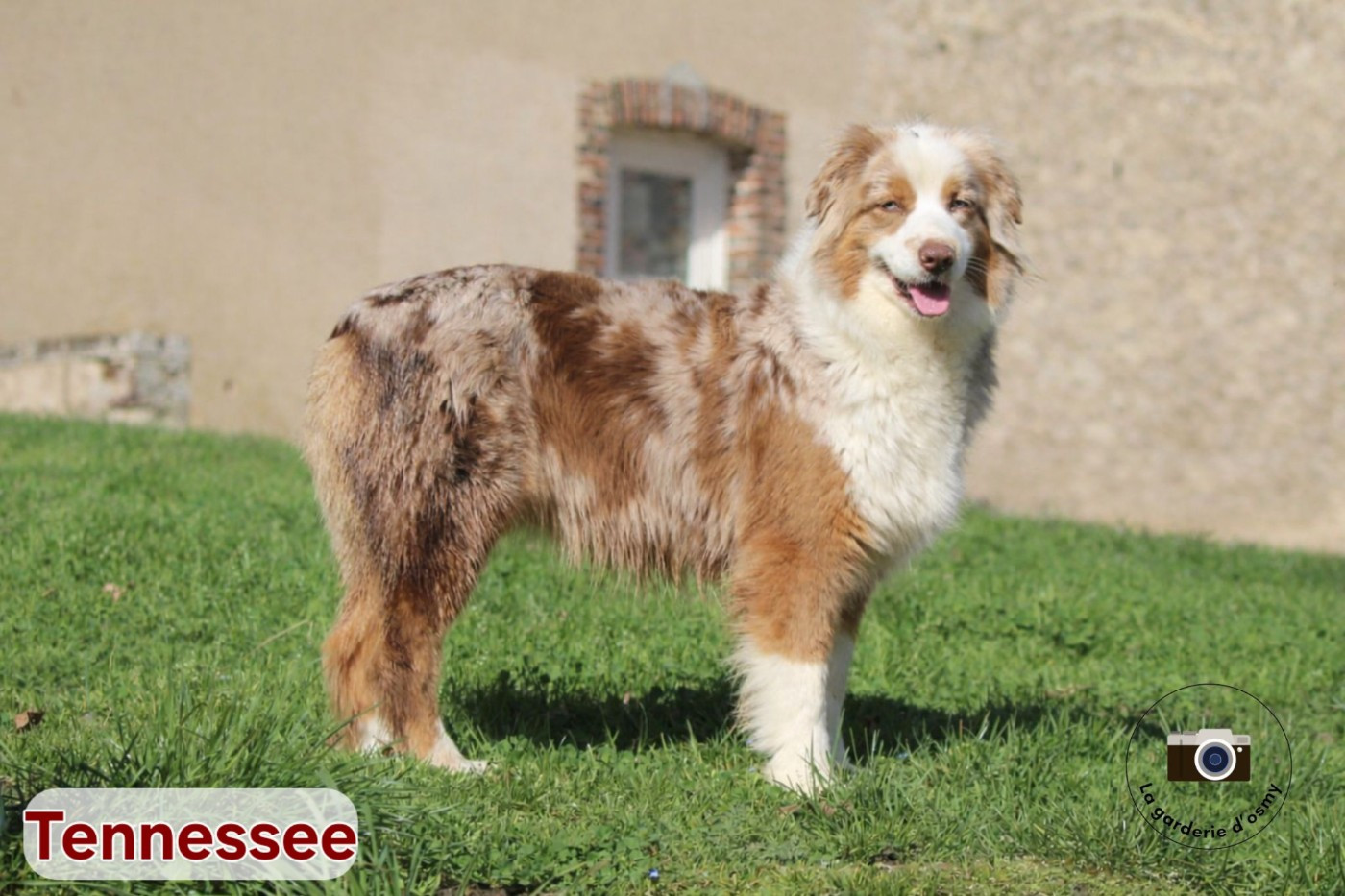 Publication : D'amour de la barbottiere 