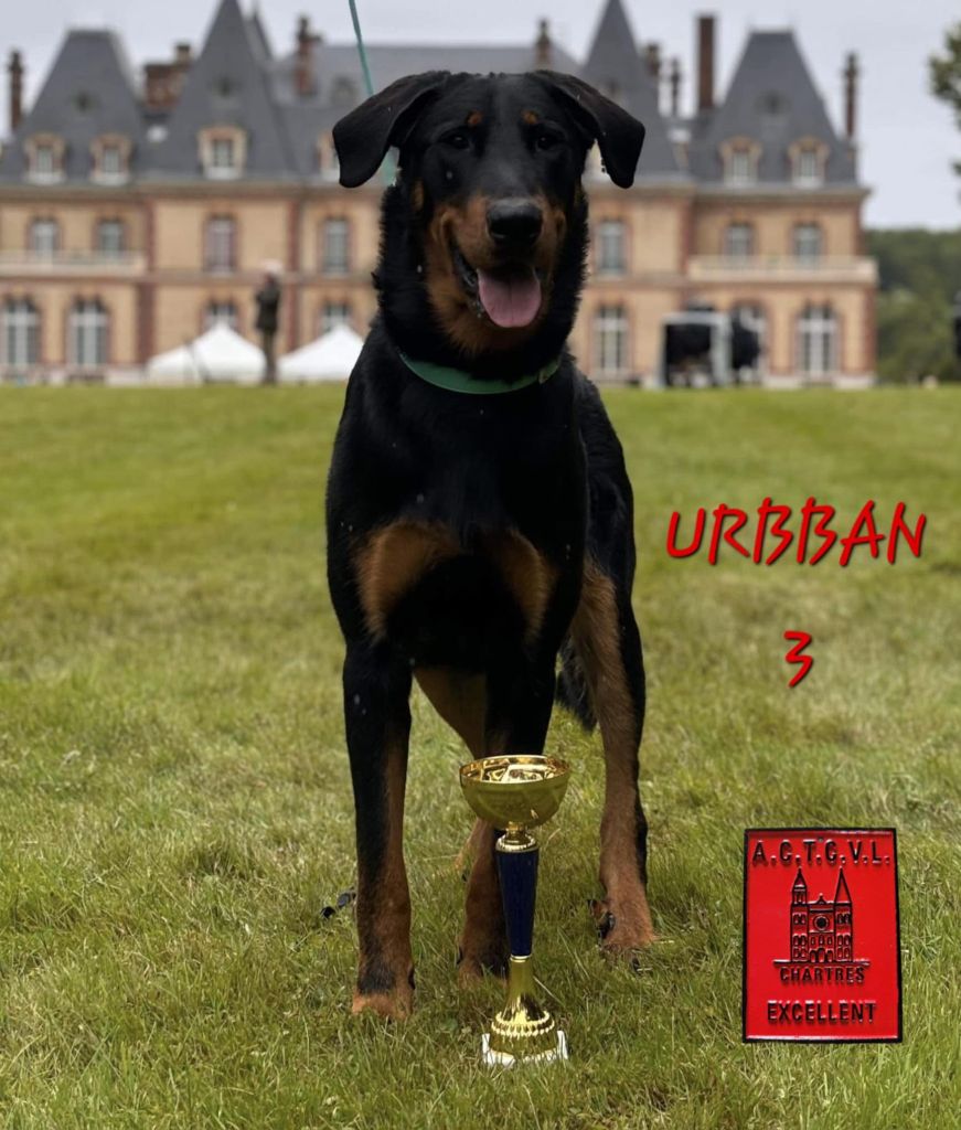 Publication : Du Domaine De Bartery