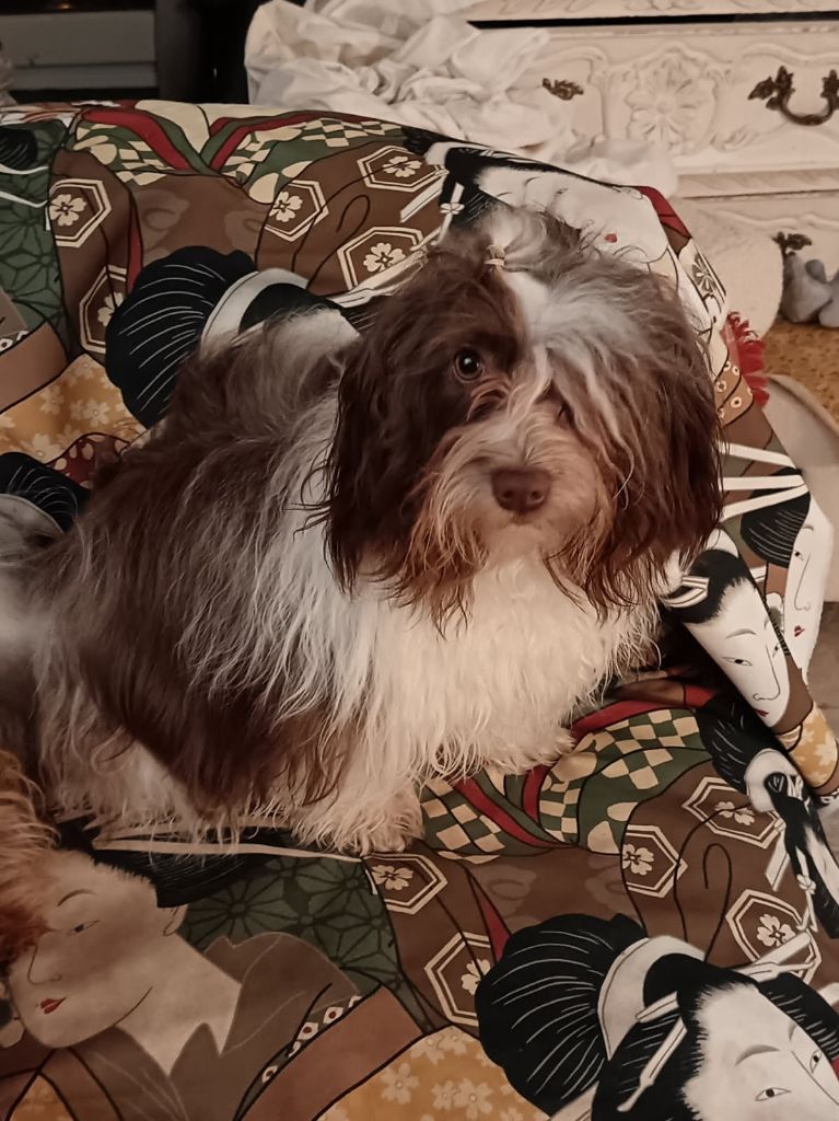 Publication : Bahia De Cochinos