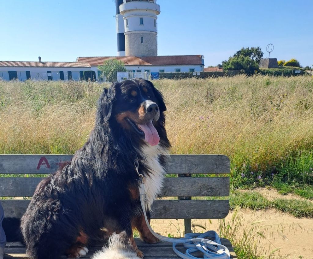 Publication : (Sans Affixe) 