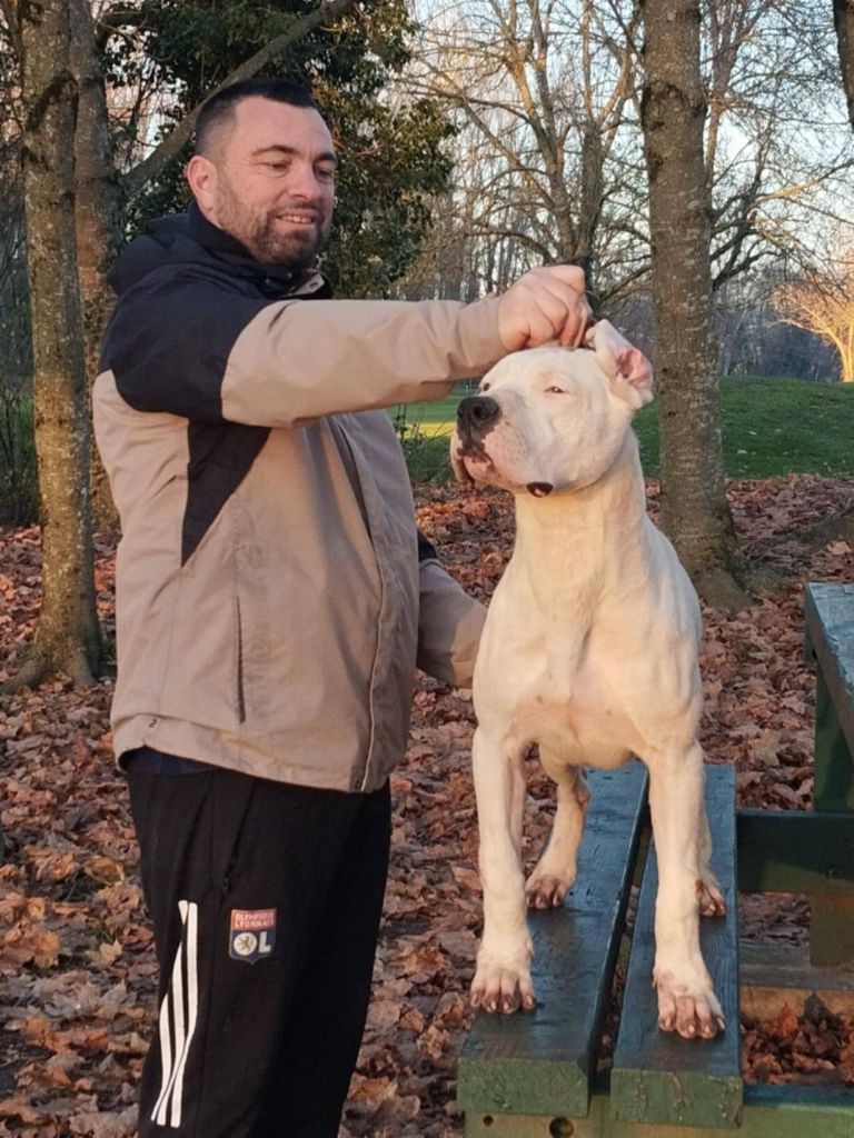 Publication : du domaine de Giulaxe Auteur : SEBASTIEN VERAN