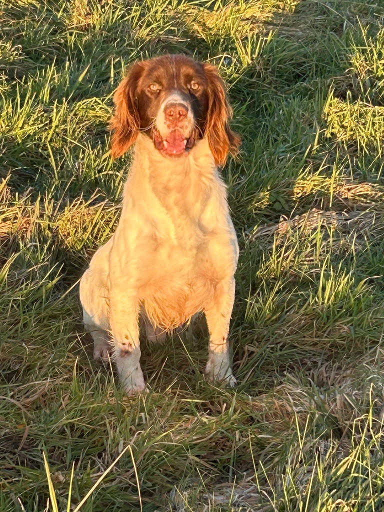 Publication : des Etangs de Dame Blanche 