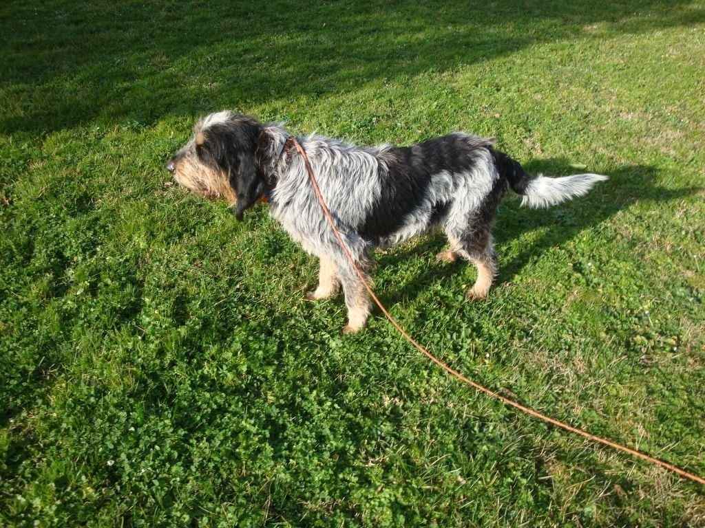 Publication : de la mouline 