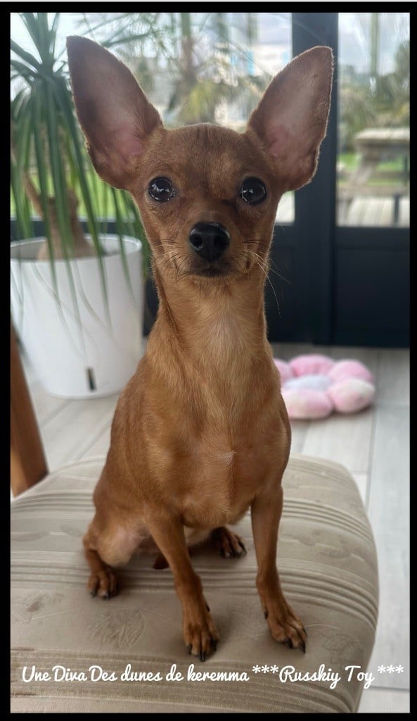 Une diva Des Dunes De Keremma