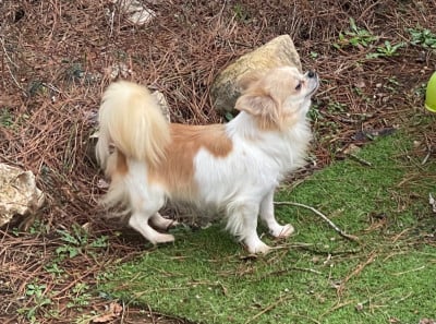 Rachel du Vallon de Beaumont